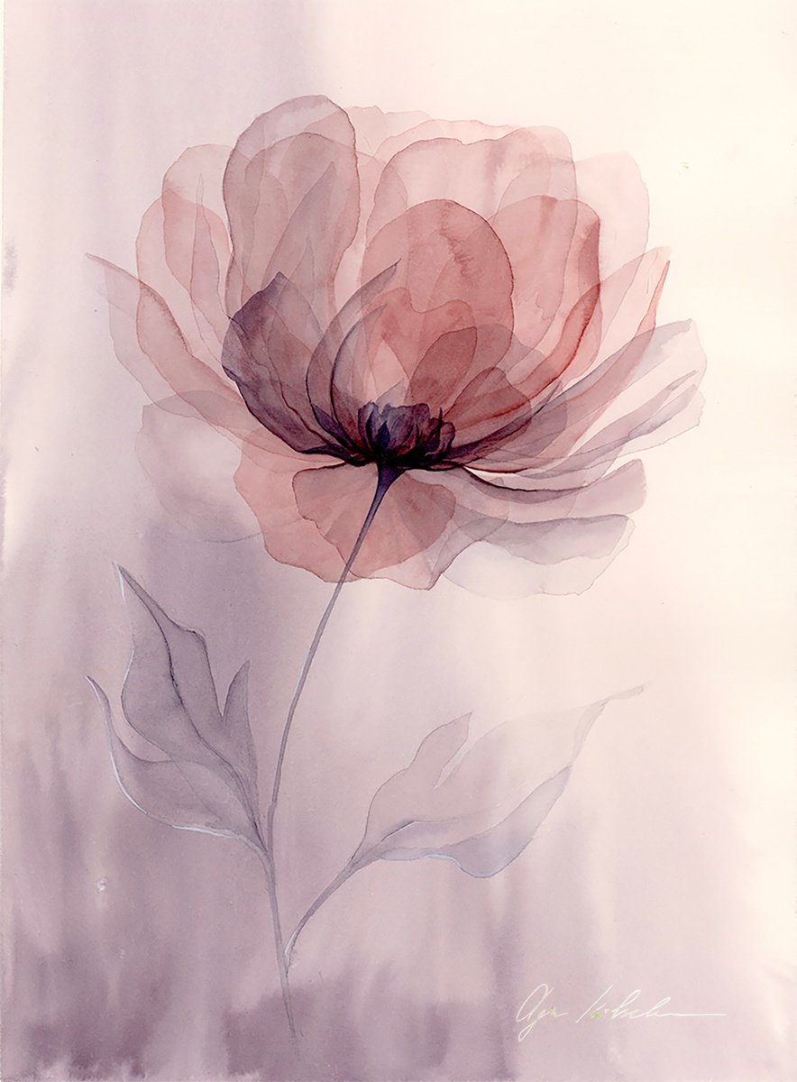 Impressionistic Watercolour , Smoky Peony By Olga Koelsch, 11 X 15, Artwork For Sale On Artfinder