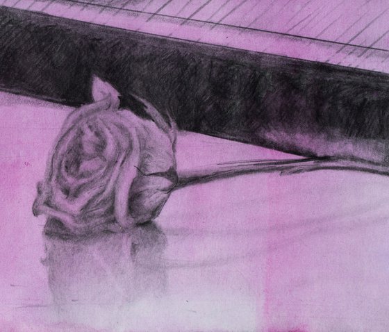 Forgotten Rose