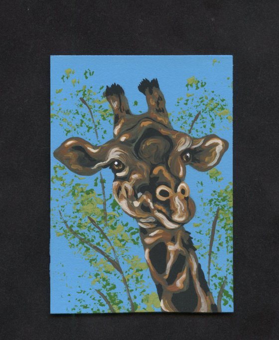 ACEO ATC Original Painting Giraffe Wildlife Art-Carla Smale