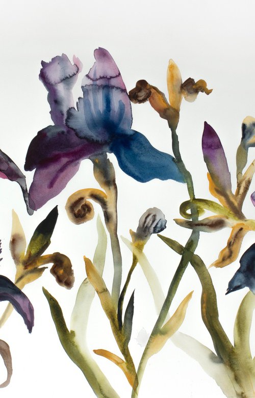 Irises No. 4 by Elizabeth Becker