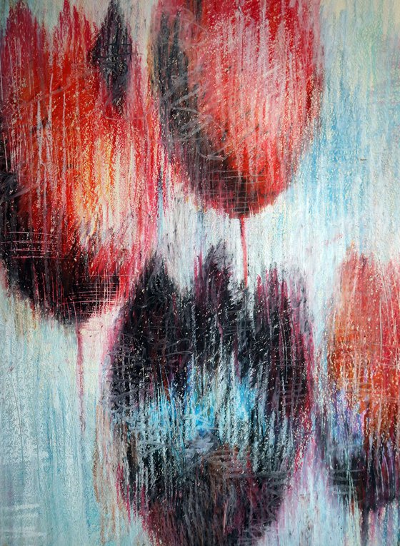 Multicolored Tulips 1