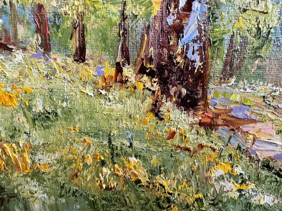 A Path in the Birch Forest
