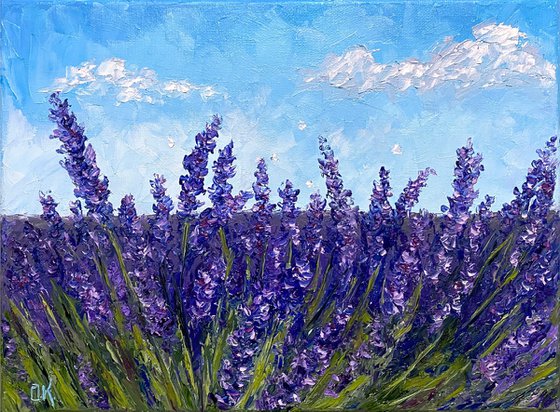 Lavender field