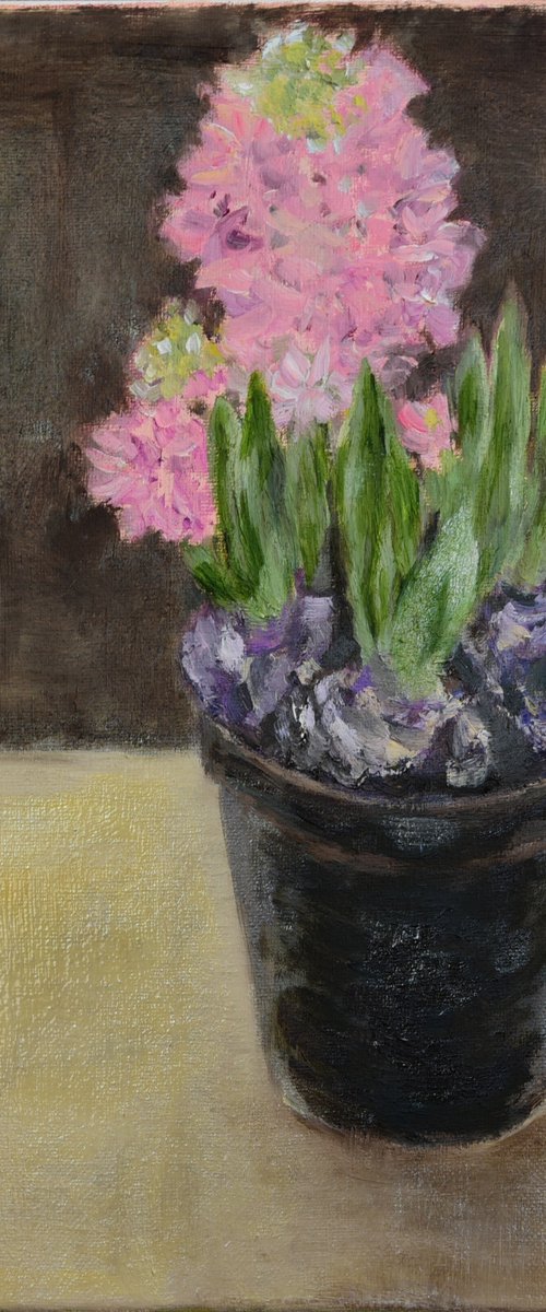 Hyacinth In the pot by Elena Zapassky