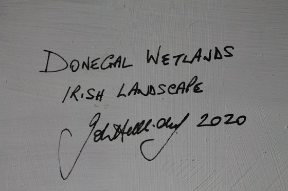 Donegal Wetlands, Irish Landscape