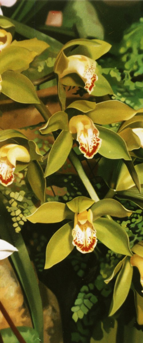 Orchids by Valeri Tsvetkov