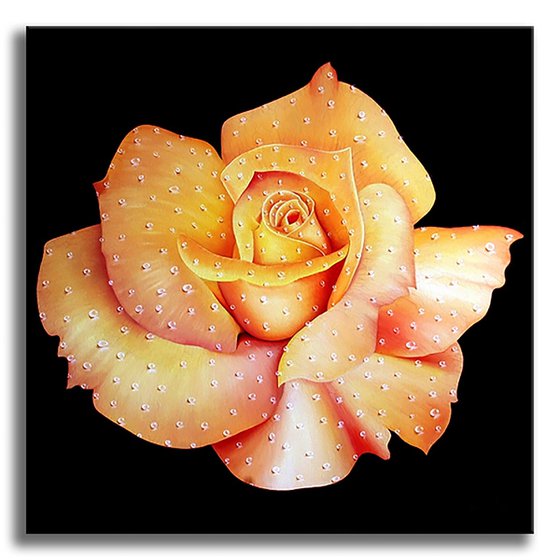 Rose Days