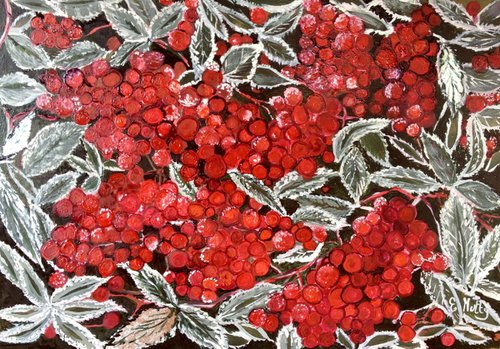 Frozen berries by Elisabetta Mutty