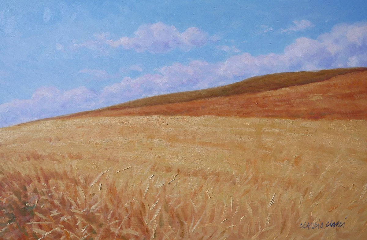 Field of wheat in Tuscany by Claudio Ciardi