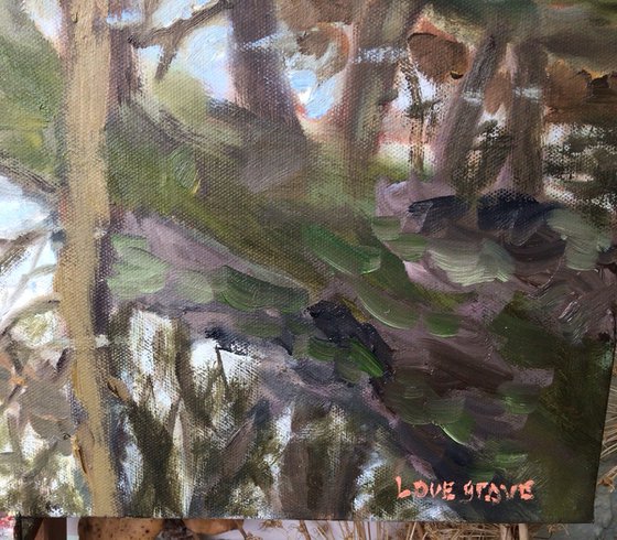 Woodland Idyll