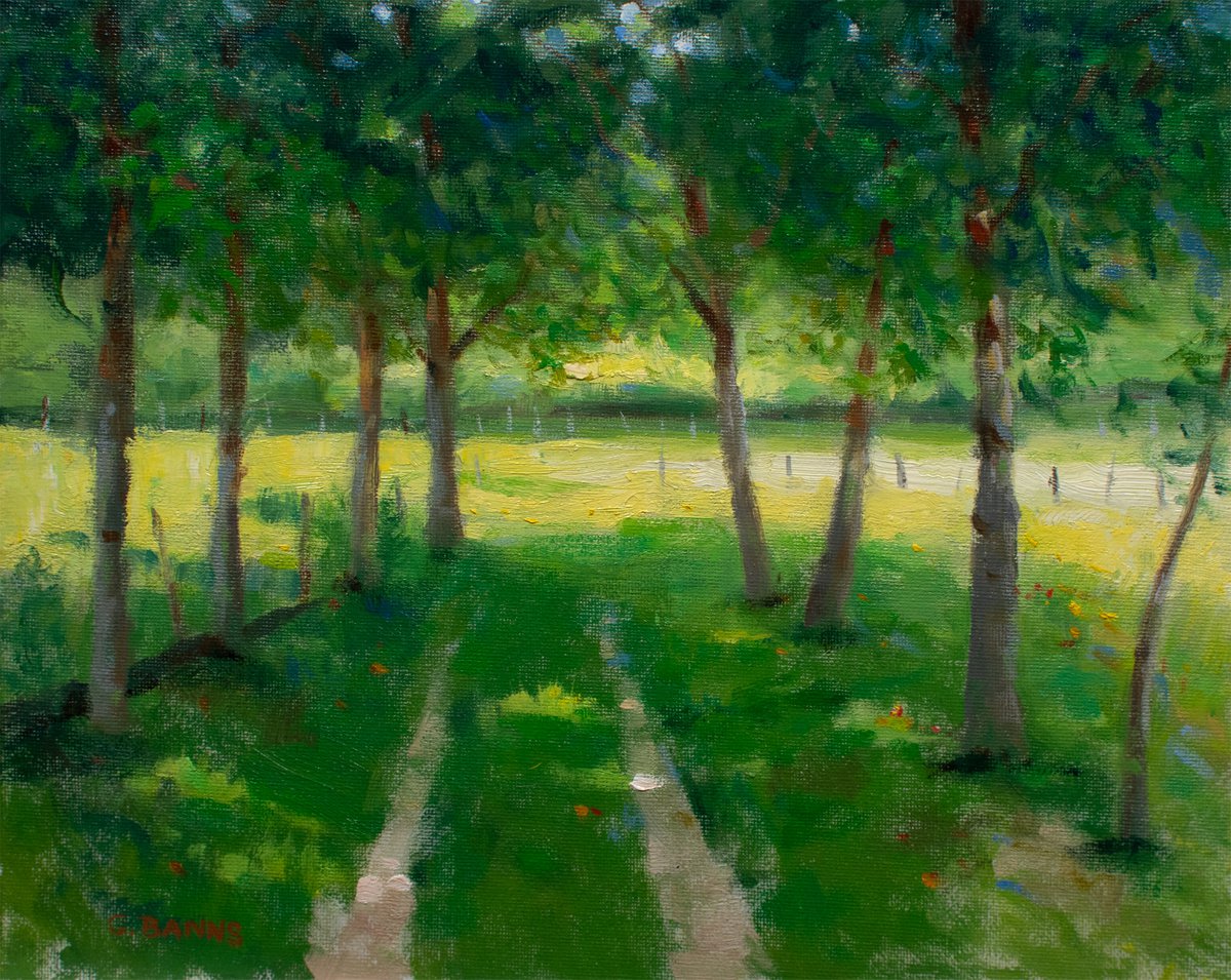 Impressionistic Landscape Oil Painting By Gav Banns, 12 X 10, American Oak Trees In Rural France, Original Artwork