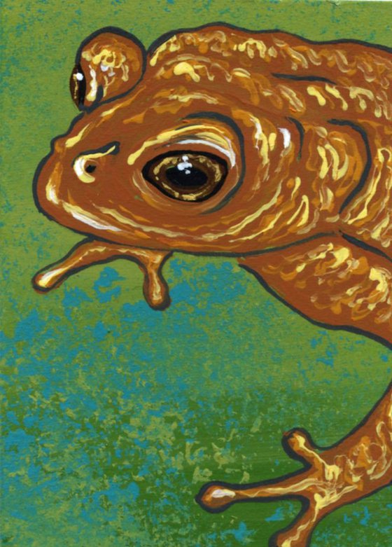 ACEO ATC Original Miniature Painting Gold Poison Dart Frog Wildlife Art-Carla Smale