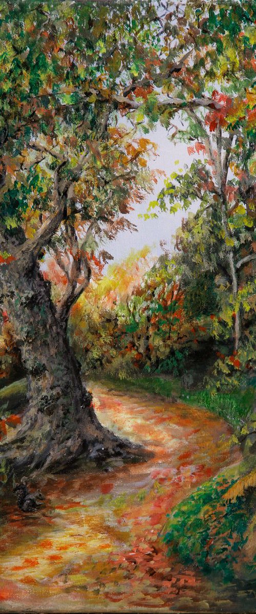 Autumn at Watersmeet by Tim Wetherell