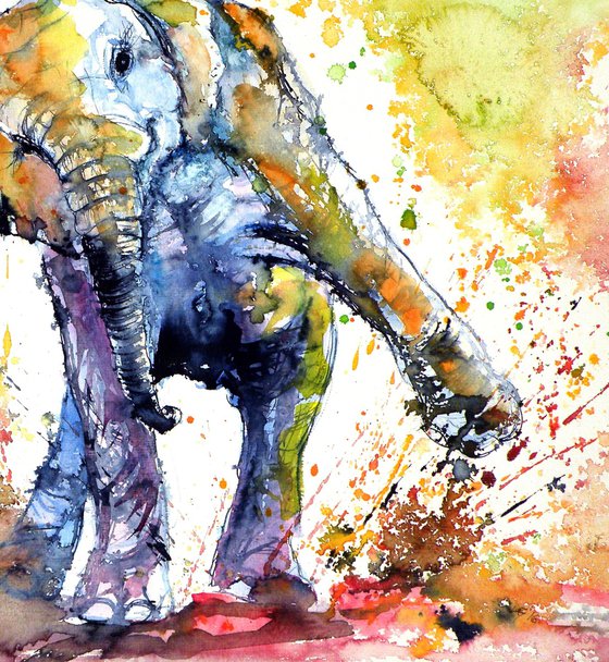 Playing elephant baby IV