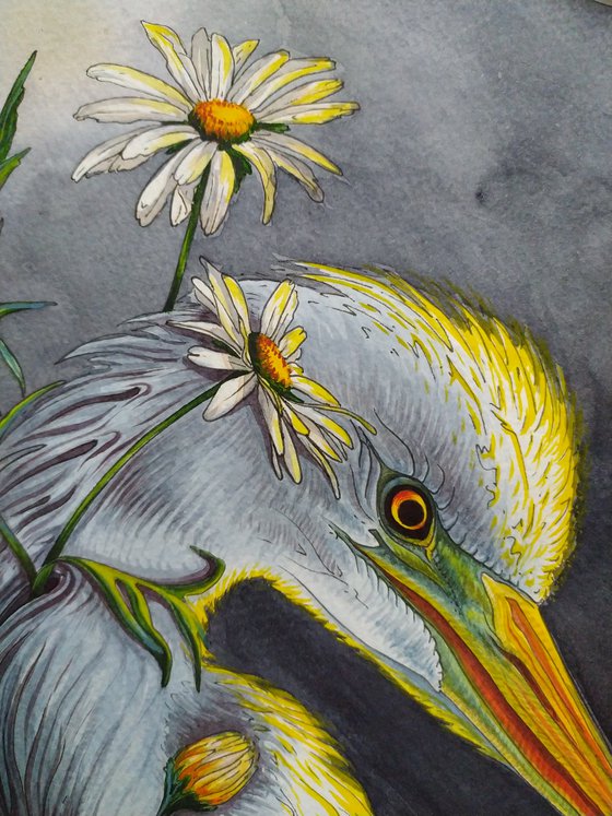 Bird of Light
