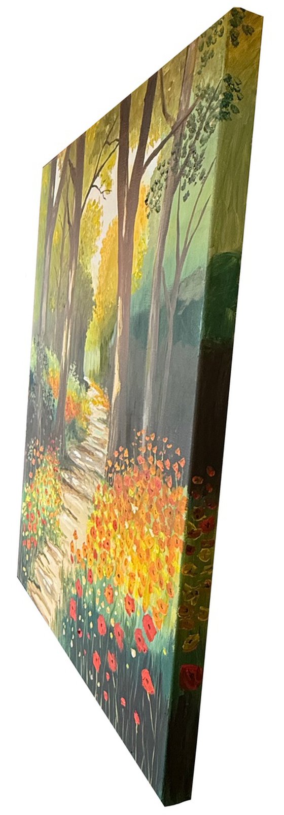 Woodland Poppies