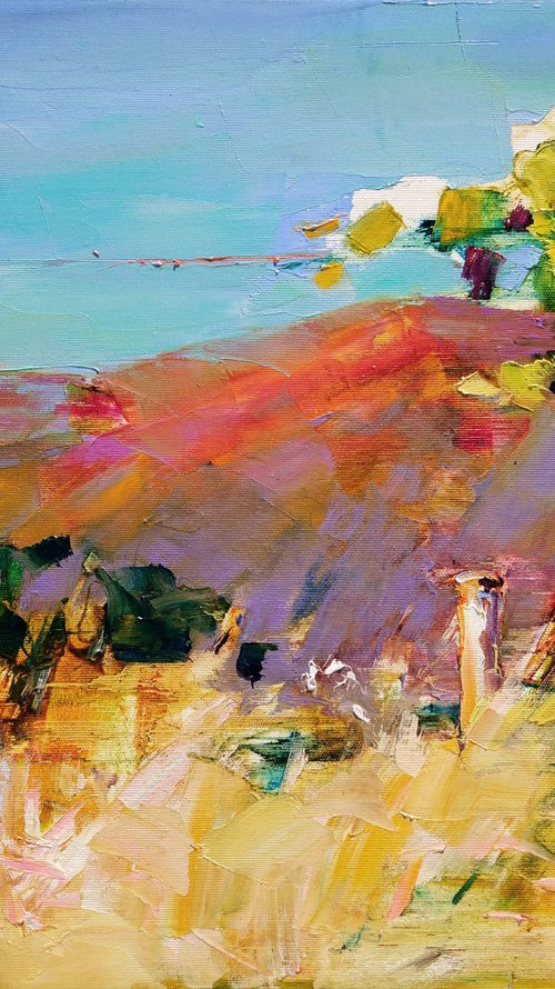 Vineyards in mountain village by Helen Shukina