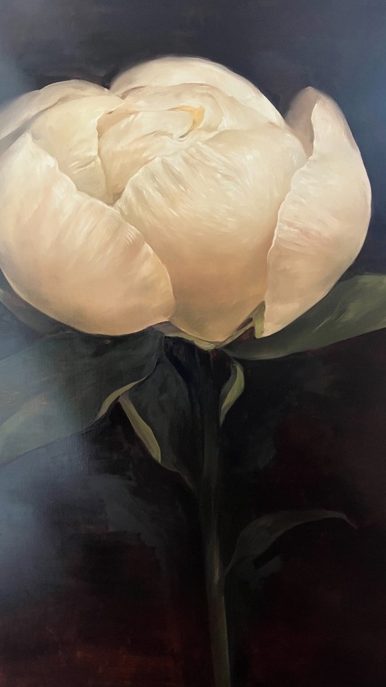 Old Holland flower 7