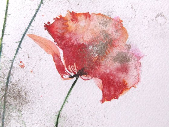 Poppies in silver