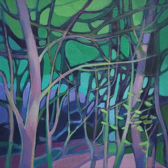 Forest Walk XI