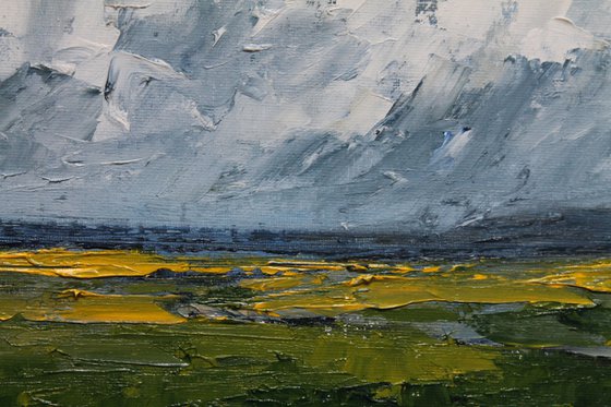 Rapeseed fields, Irish landscape