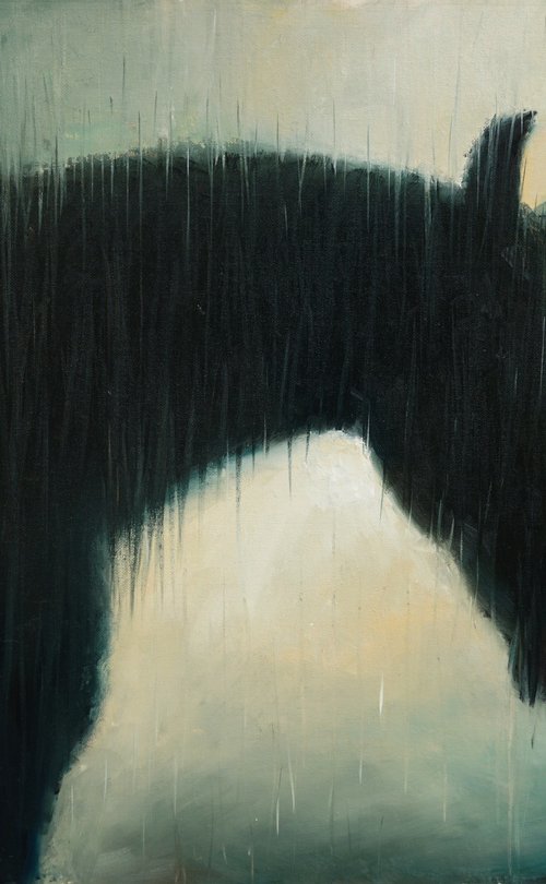 Horse In The Rain by Scott McLachlan