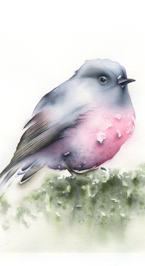 Pink Robin by ieva Janu