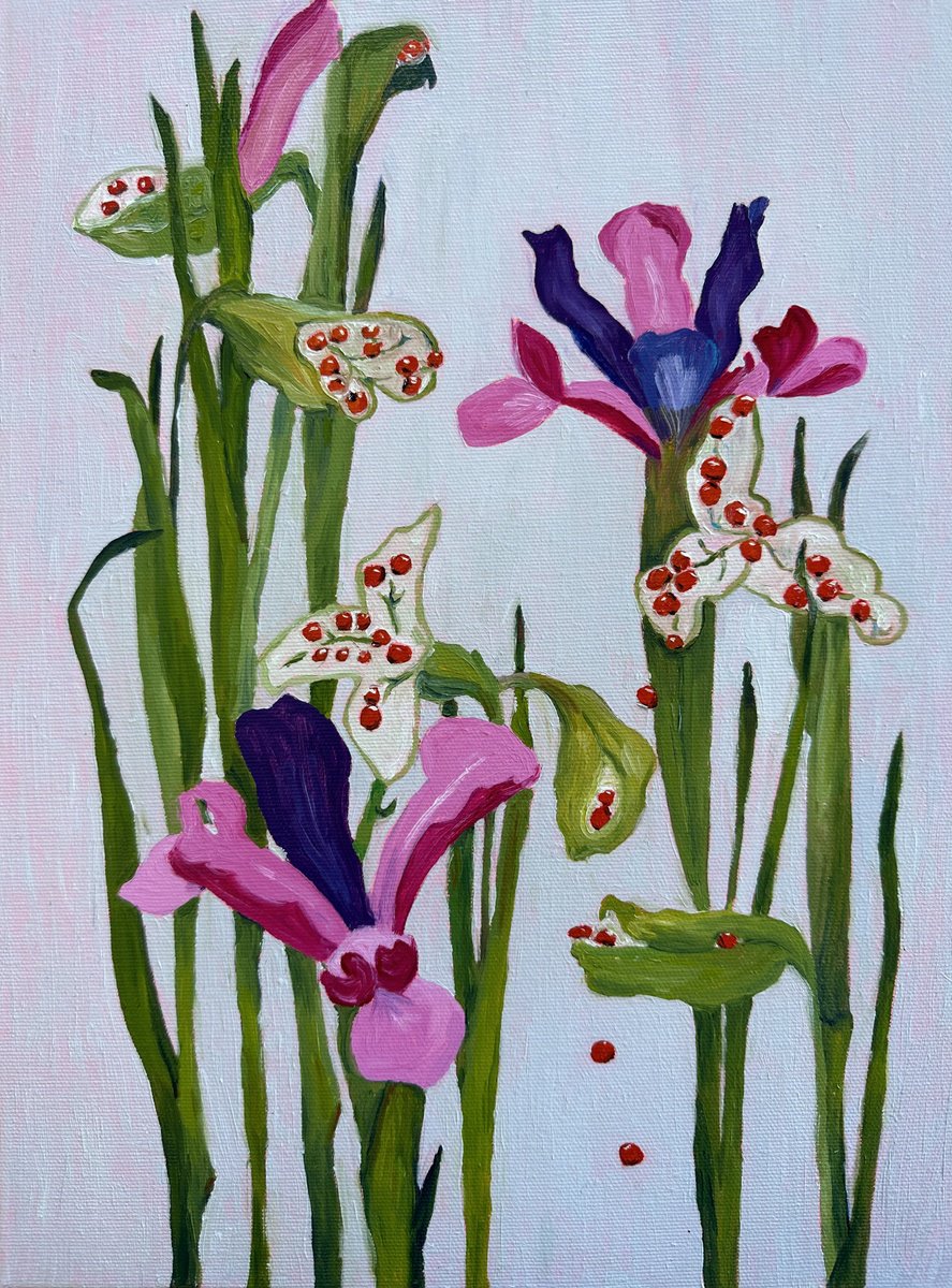 Rise of Irises by Irina Anis