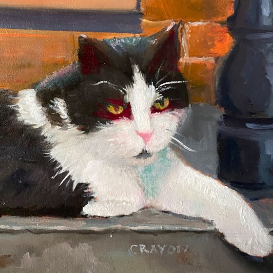 Linden Cat