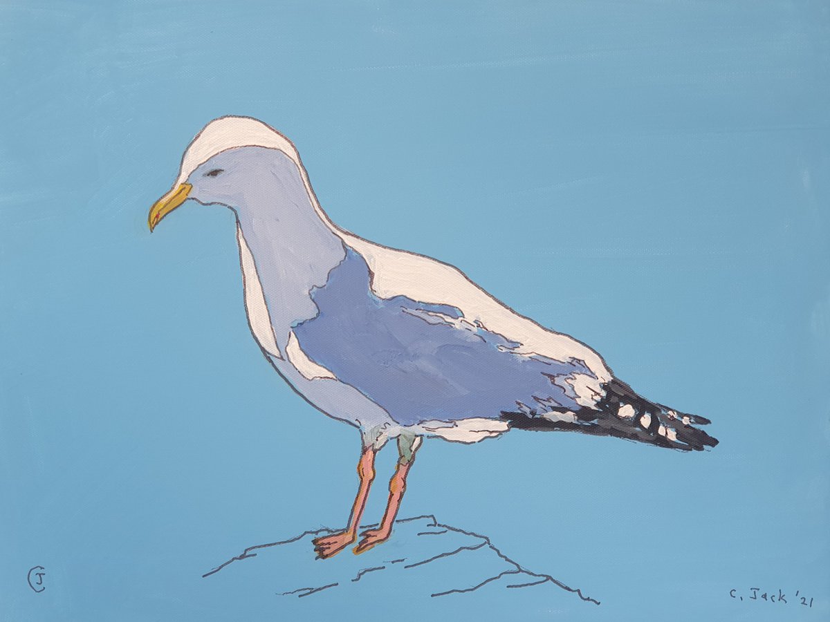 Seagull #2 by Colin Ross Jack