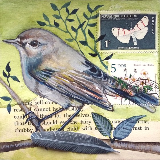 The Chiffchaff feather  (framed and ready to hang)