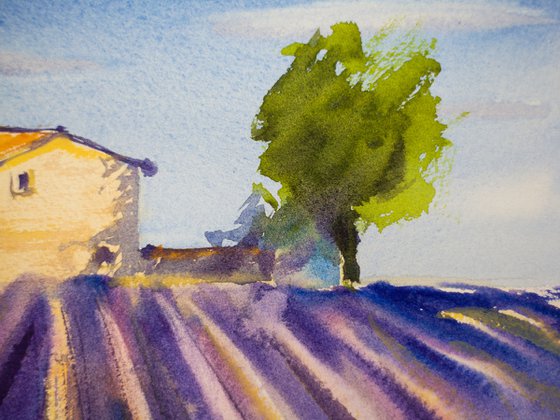 Lavender field in Provence. Medium watercolor pastel drawing bright colors France