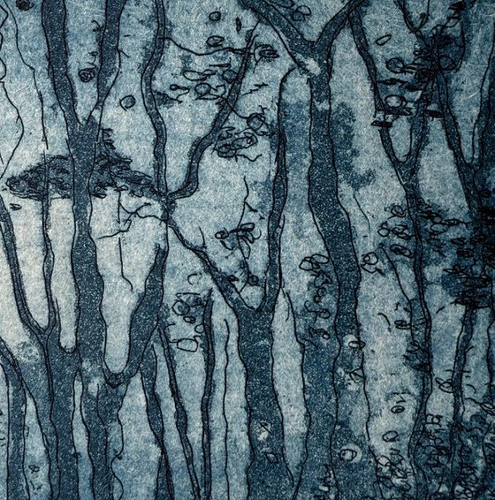 Highgate Wood