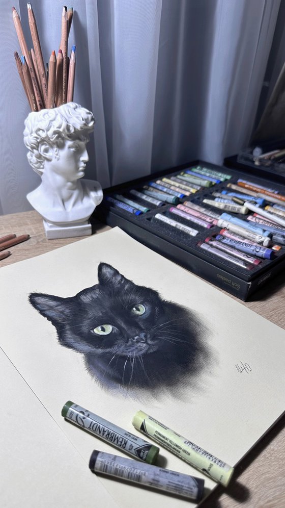 Portrait of Black Cat with Green Eyes