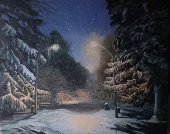 The Snowy Night