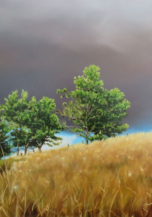 The Sky became Heavy by Kerry Lisa Davies