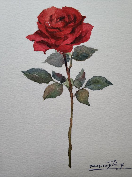 Rose 8