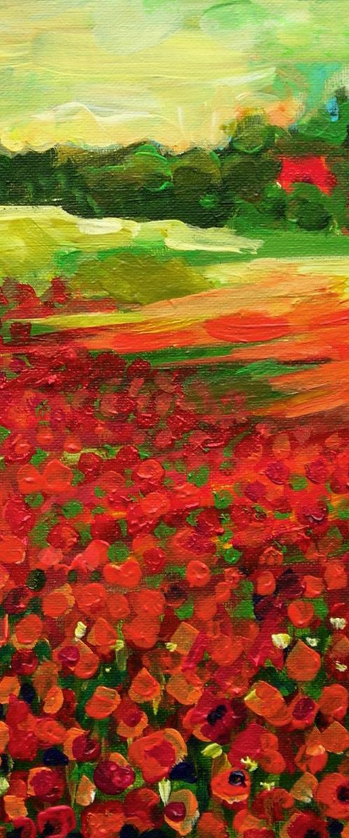 Poppy field by Maja Grecic