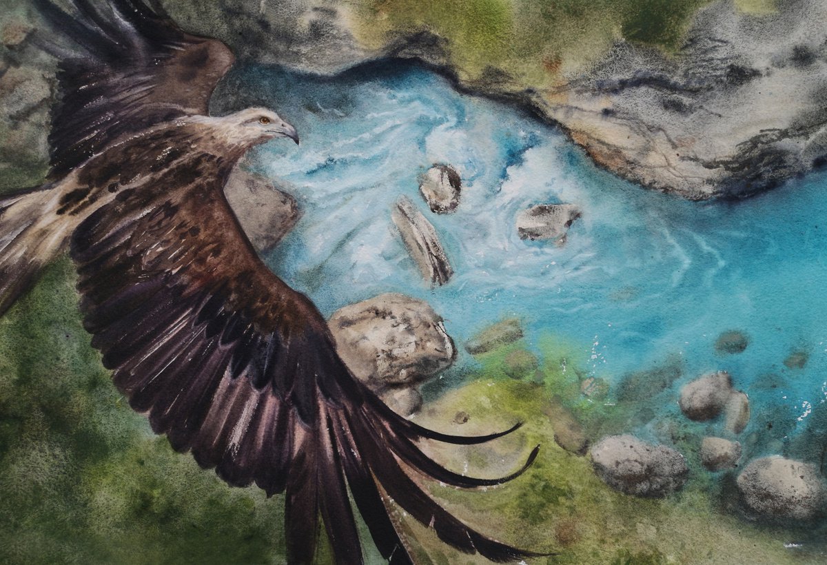 Eagle Soars over a Mountain Stream - watercolor by Olga Beliaeva Watercolour