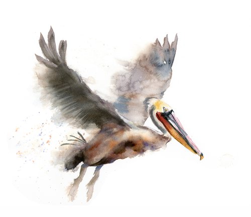 Flying Pelican  -  Original Watercolor Painting by Olga Shefranov (Tchefranov)