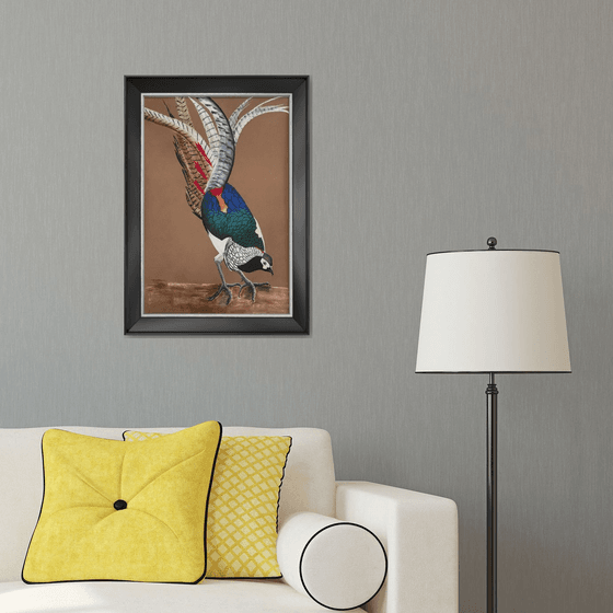 LADY AMHERST’S PHEASANT