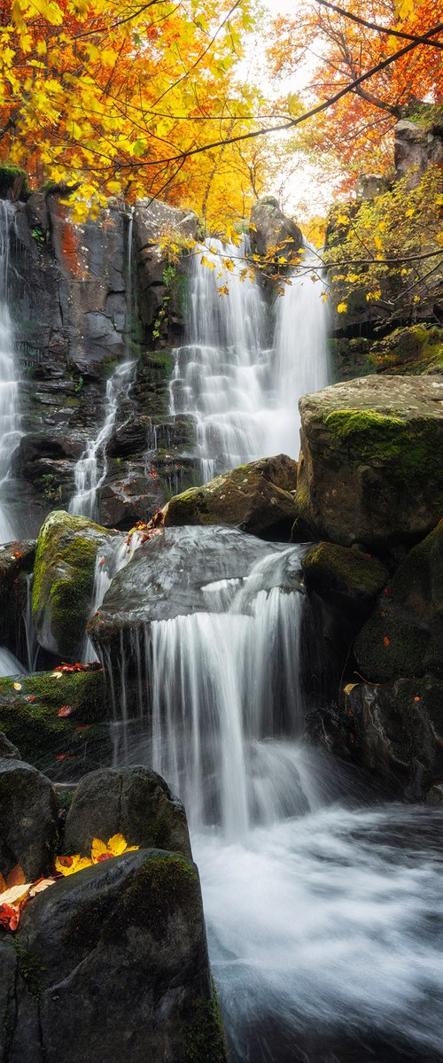 DARDAGNA FALLS by Giovanni Laudicina