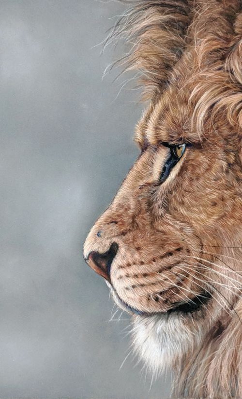 Lion by Tatjana Bril
