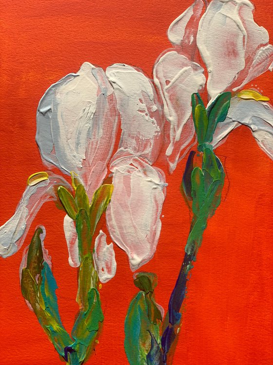 Still life