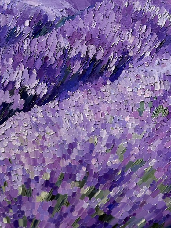 Lavender Dusk