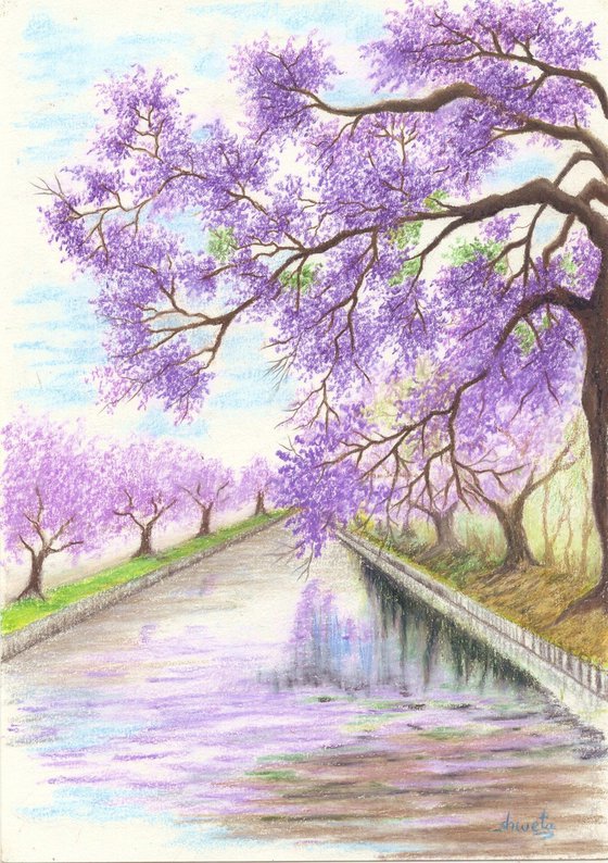 Tree lined canal