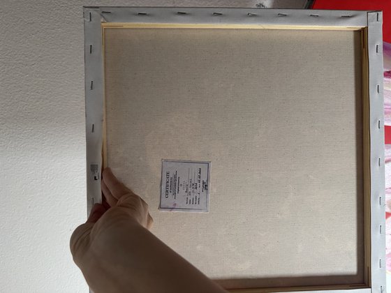 Peonie pink and white