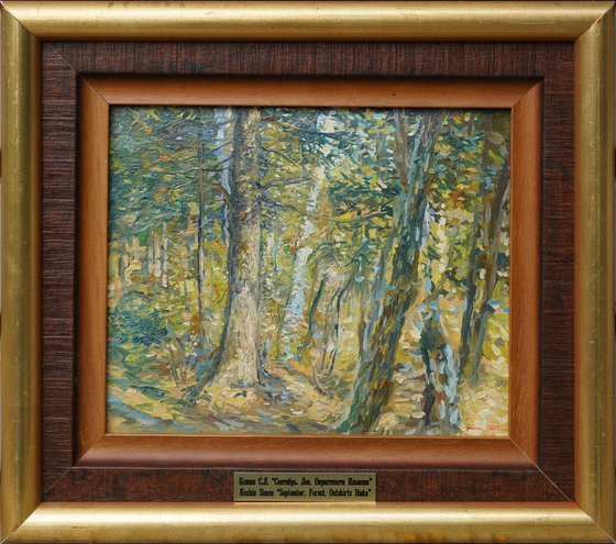 September. Forest. Surroundings of Ilyinki
