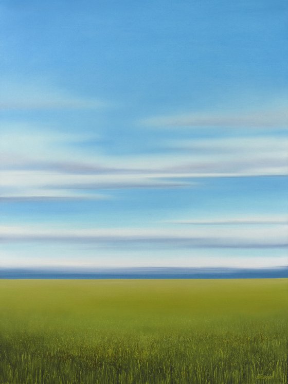 Verdant Grass - Blue Sky Landscape