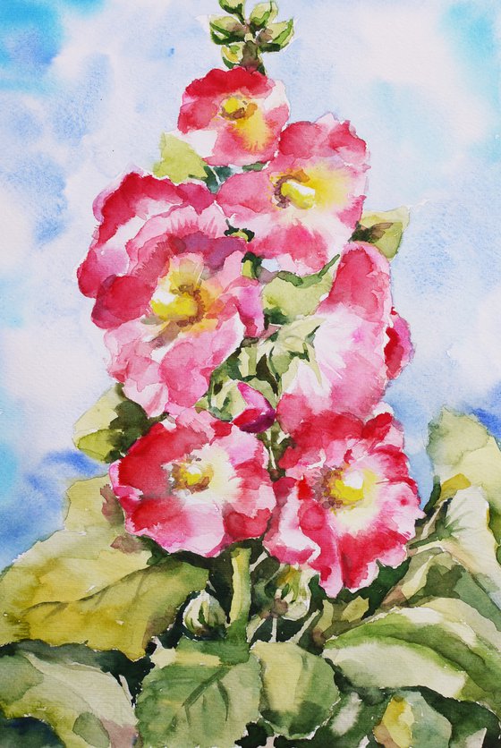 Hollyhock flower watercolor illustration